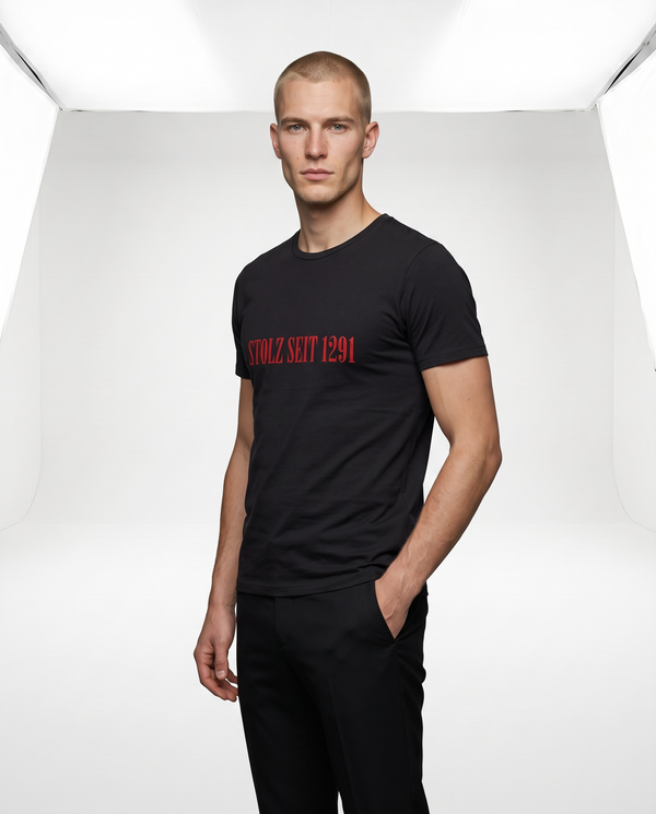 Stolz seit 1291 T-Shirt
